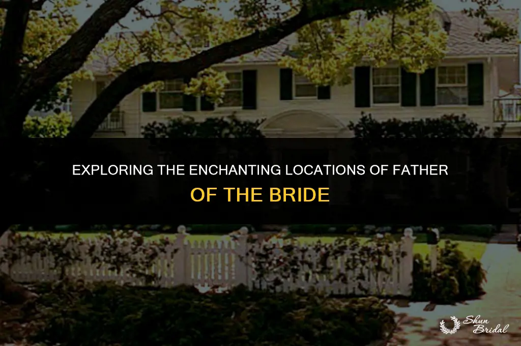 where does father of the bride take place