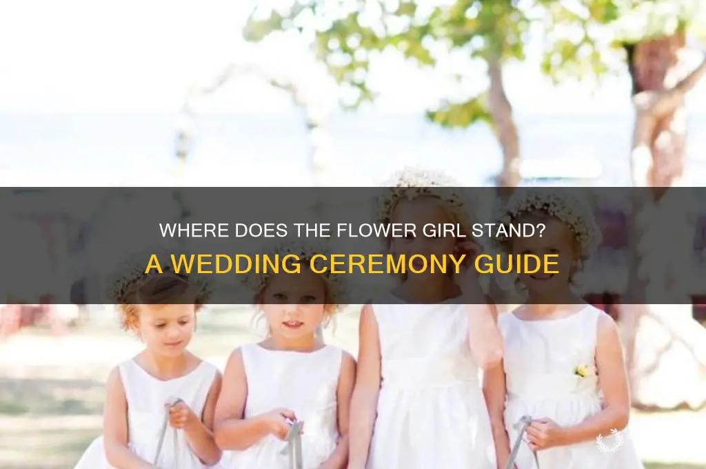 where does flower girl stand