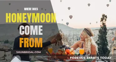 The Origins of the Word 'Honeymoon': A Sweet Journey