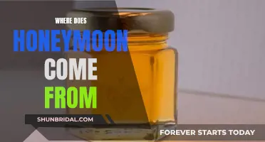Honeymoon Etymology: The Origin of a Sweet Word