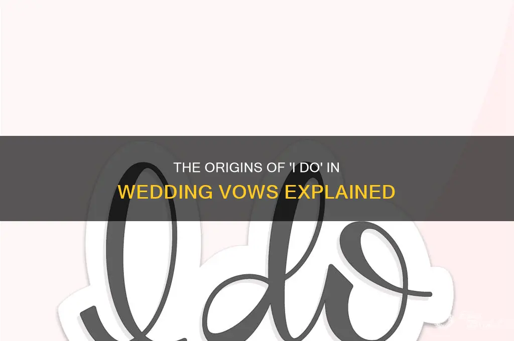 where does i do in vows originate from