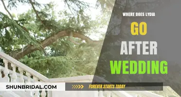 Lydia's Post-Wedding Journey: Unraveling Her Mysterious Disappearance