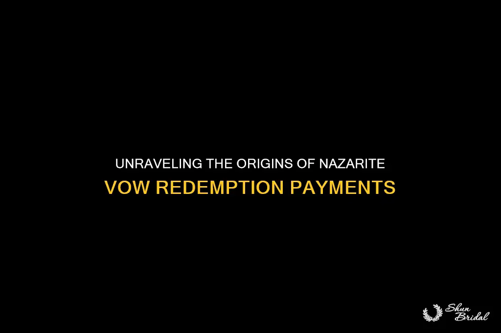 where does pay money to end nazarite vow come from