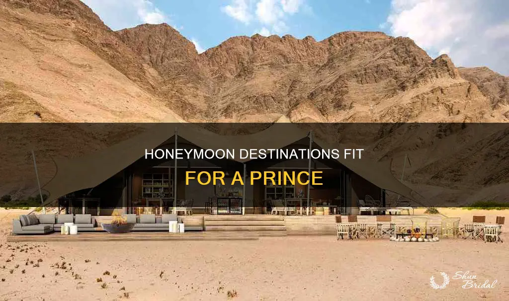 where does primce harry go for his honeymoon