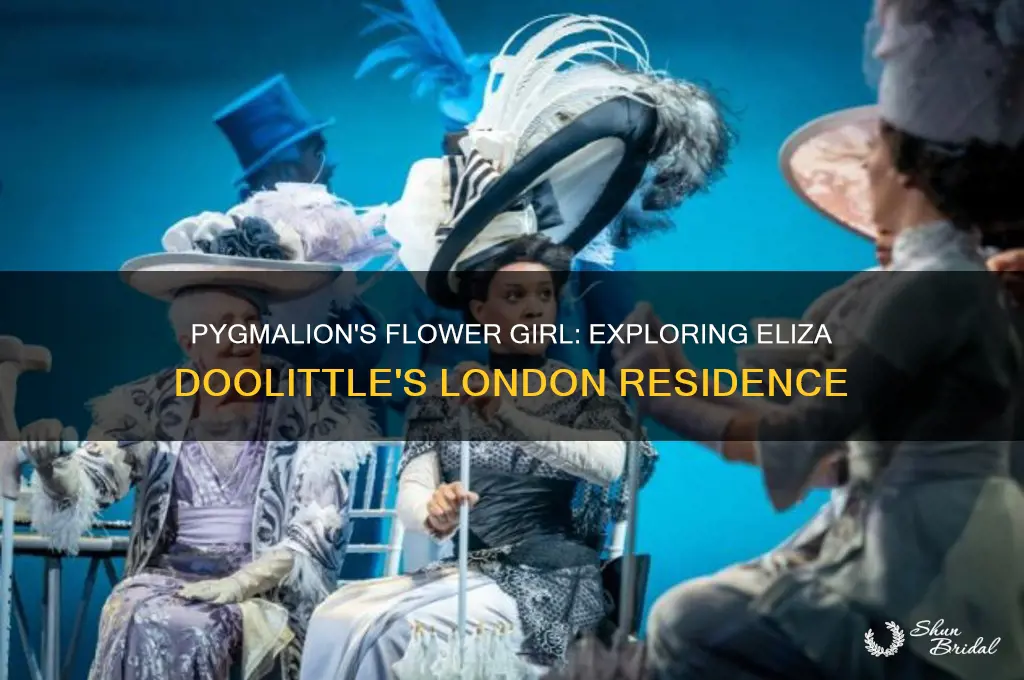 where does the flower girl live in pygmalion