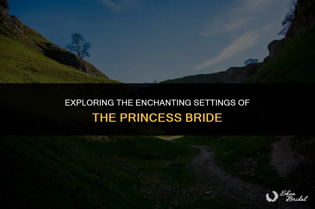 where does the princess bride take place