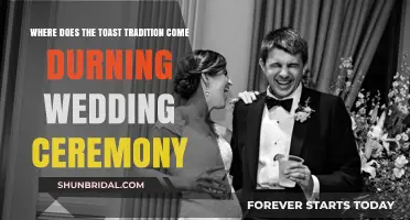 The Origins of Wedding Toasts: A Time-Honored Tradition Explained