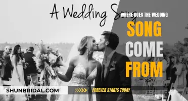 The Evolution of Wedding Songs: Their History and Origins