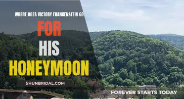 Honeymoon Destinations for Victor Frankenstein and His Bride