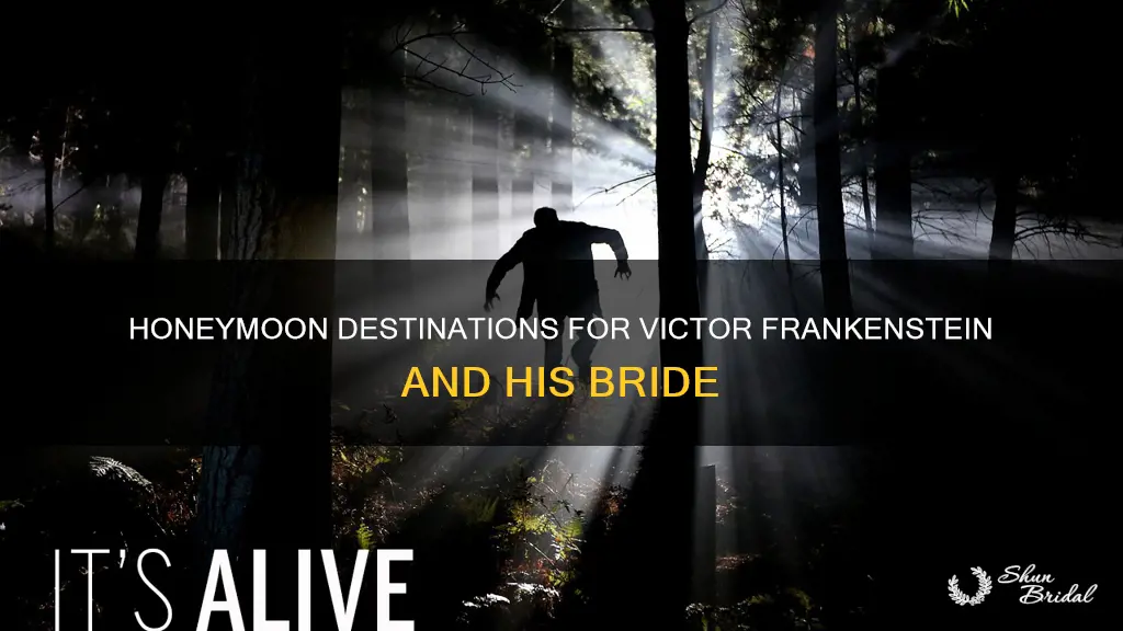 where does victory frankenstein go for his honeymoon