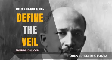 Unveiling the Veil: W.E.B. Du Bois' Definition and Its Impact