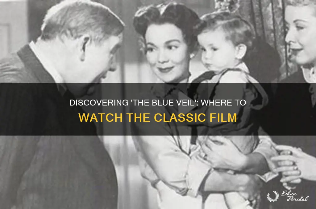 where i find the movie the blue veil