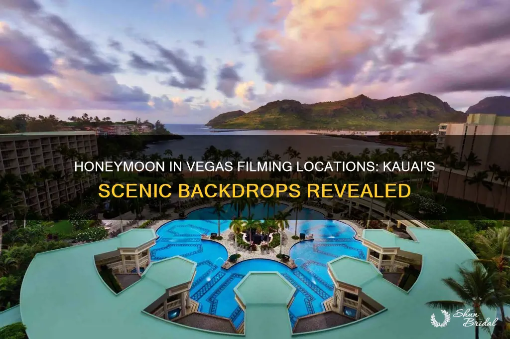 where in kuaui was honeymoon in vegas filmed