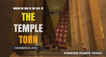 Luke's Account: The Torn Temple Veil and Its Meaning