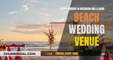 Michigan Beach Wedding Venues: Best Locations