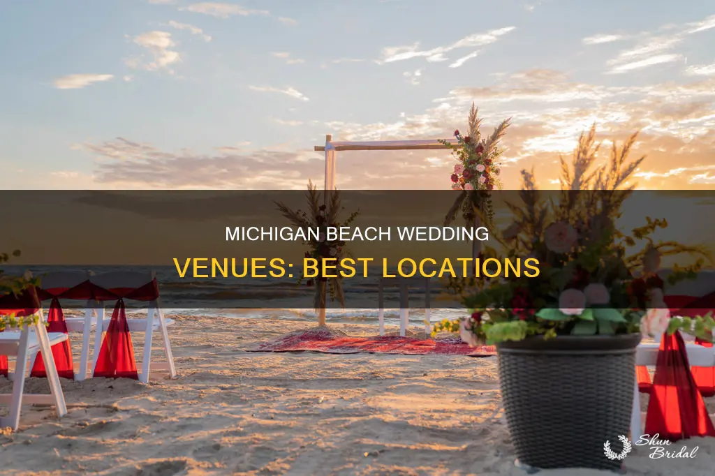 where in Michigan has a good beach wedding venue