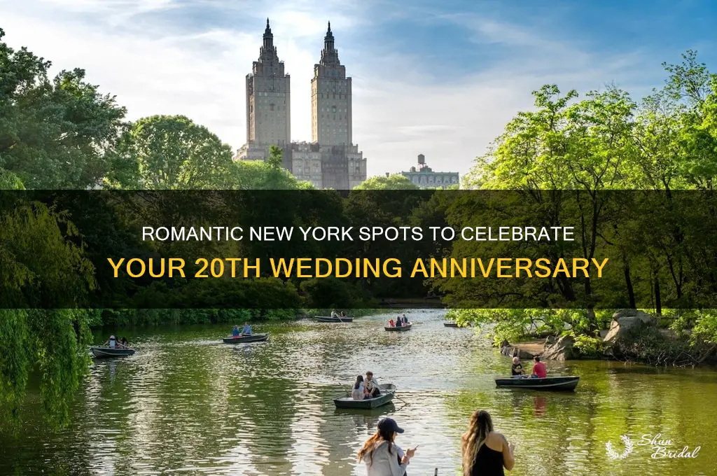where in New Yorkcan celebrate the 20th wedding anniversary
