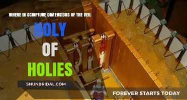 Scriptural Insights: Exploring the Veil's Dimensions in the Holy of Holies