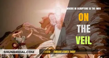Unveiling the Mystery: Scripture's References to the Veil Explored