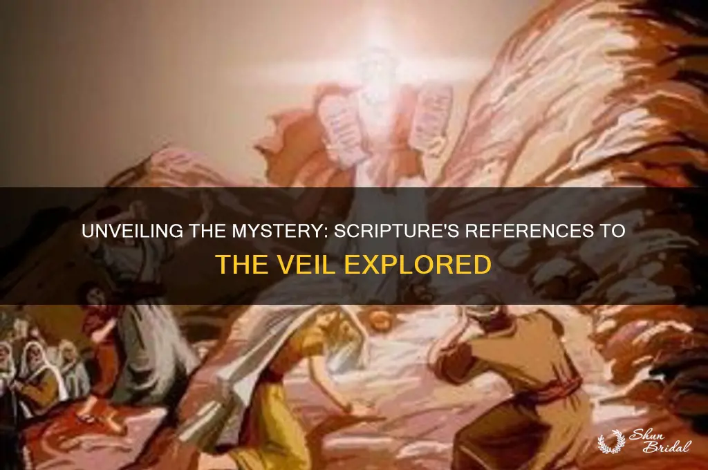 where in scripture is the info on the veil