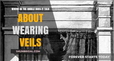 Biblical Veil References: Exploring Scripture's Guidance on Head Coverings
