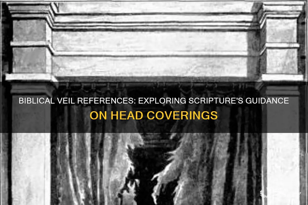 where in the bibdle does it talk about wearing veils