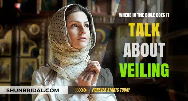 Biblical References to Veiling: Exploring Scriptural Insights on Head Coverings