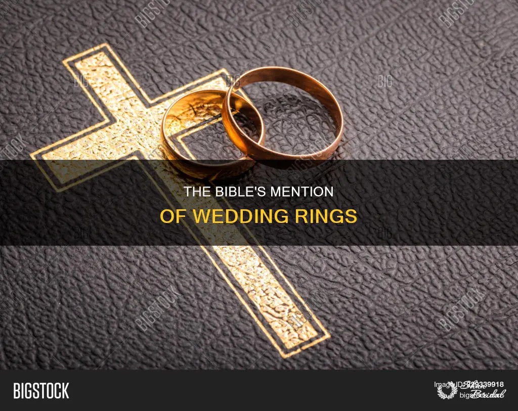 where in the bible does it talk about wedding rings