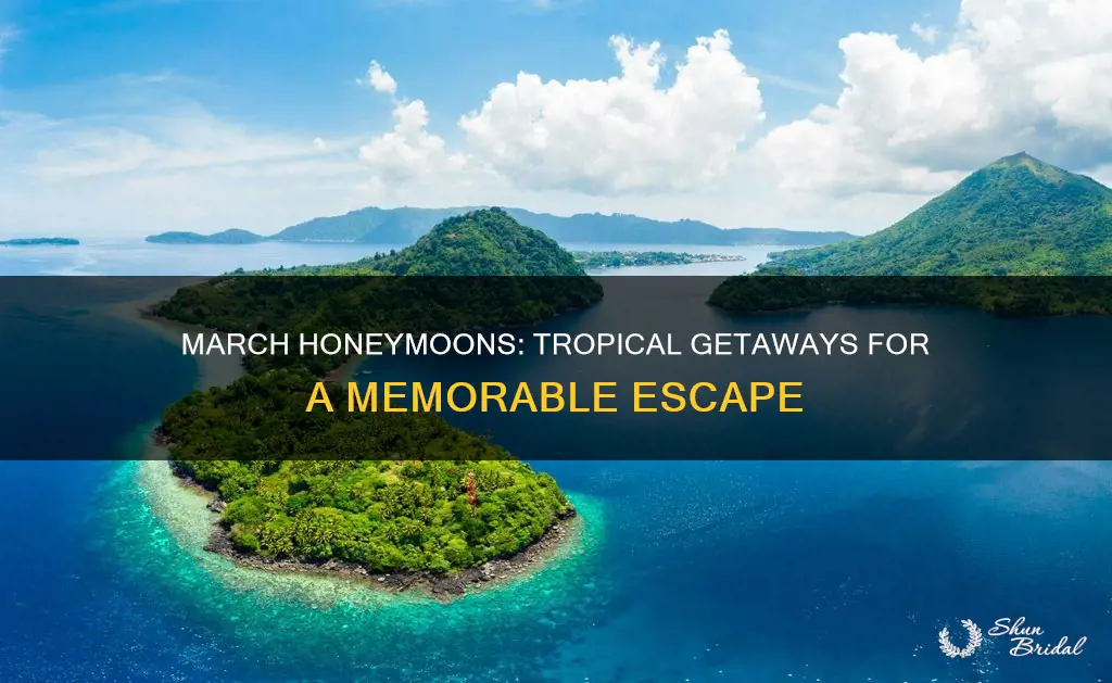 where is a reasonable place to honeymoon in march