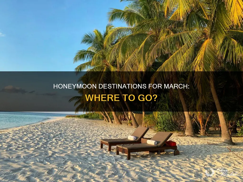 where is a reasonable place to honeymoon in march
