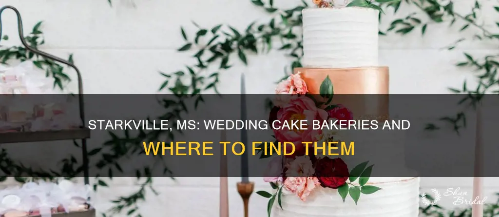 where is a wedding cake bakery starkville ms