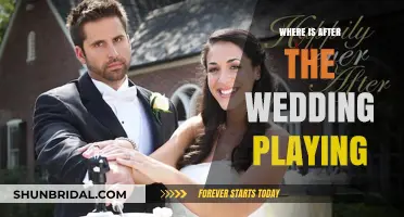Where to Watch 'After the Wedding': A Complete Streaming Guide