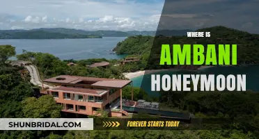 Where Did Ambani Honeymoon? Unveiling the Luxurious Destination