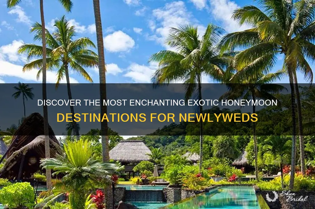 where is an exotic place for a honeymoon