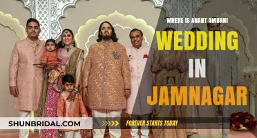 Anant Ambani's Grand Wedding in Jamnagar