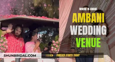 Anant Ambani's Wedding Venue: A Grand Affair