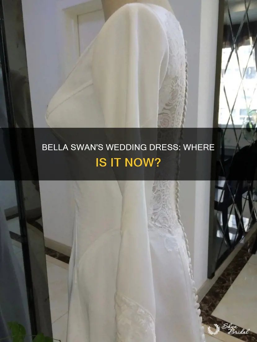 where is bella swan