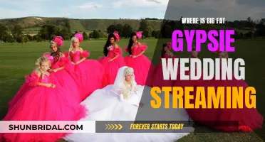 Big Fat Gypsy Wedding Streaming: Where to Watch?