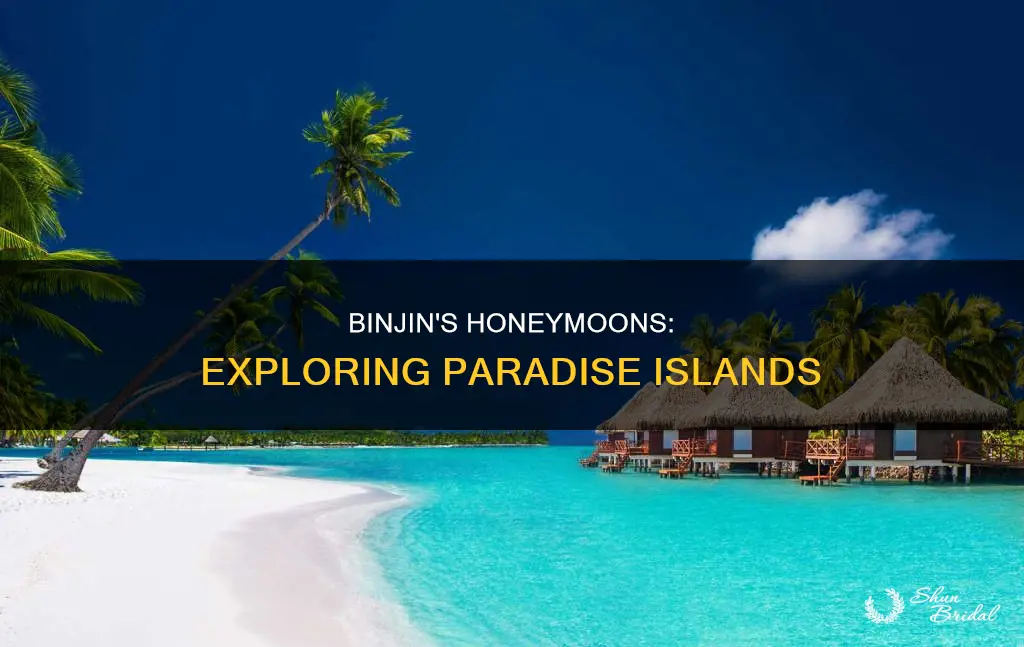 where is binjin honeymoon