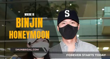 Binjin's Honeymoon: A Tropical Paradise Revealed