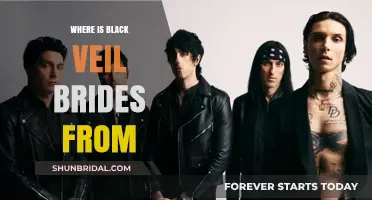 Black Veil Brides' Hometown: Unveiling the Origins of the Rock Band