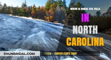 Discovering Bridal Veil Falls: A Hidden Gem in North Carolina