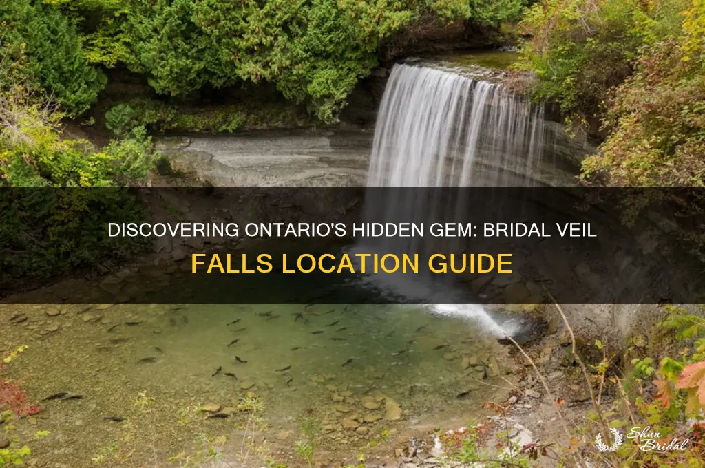 where is bridal veil falls in ontario