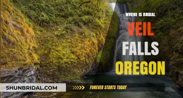Discovering Bridal Veil Falls: A Hidden Gem in Oregon's Columbia River Gorge