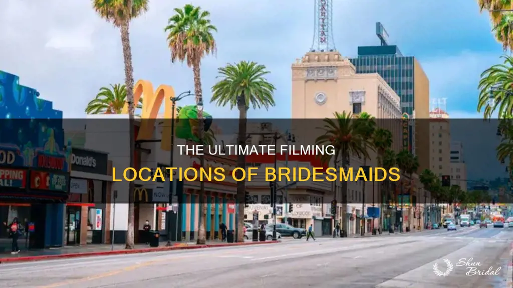 where is bridesmaids movie set