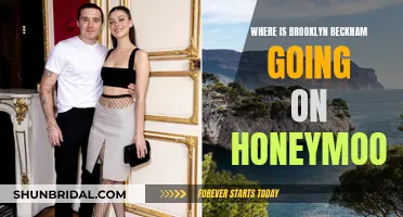 Brooklyn Beckham's Honeymoon: Where Did He Go?
