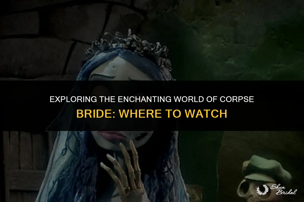 where is corpse bride on