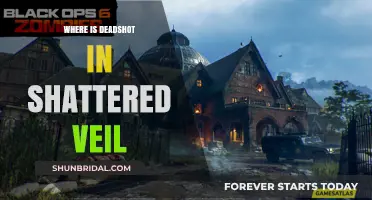 Deadshot's Shattered Veil Location: Uncovering the Sniper's Hidden Position