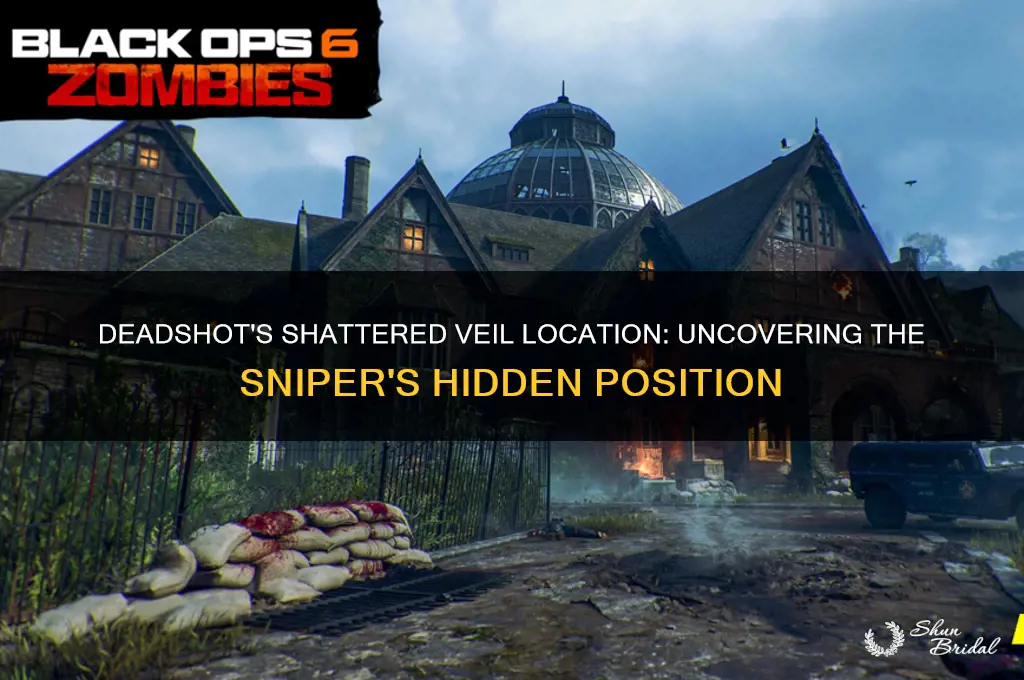 where is deadshot in shattered veil