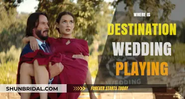 Where to Watch Destination Wedding: Streaming and Cinema Guide
